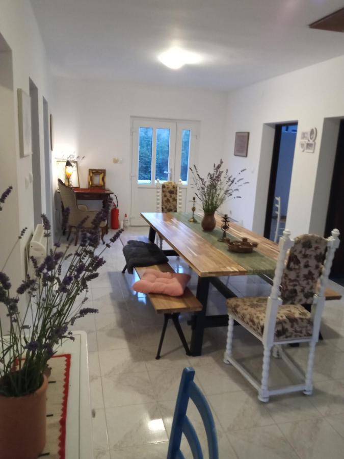 Apartman Kacic Sveti Ivan Dobrinjski المظهر الخارجي الصورة